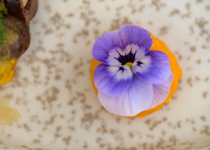 Daire Sugardustapt Elegant Retreat 150m From The Sea Hanya