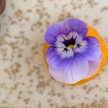 شقة Sugardustapt Elegant Retreat 150m From The Sea خانيا